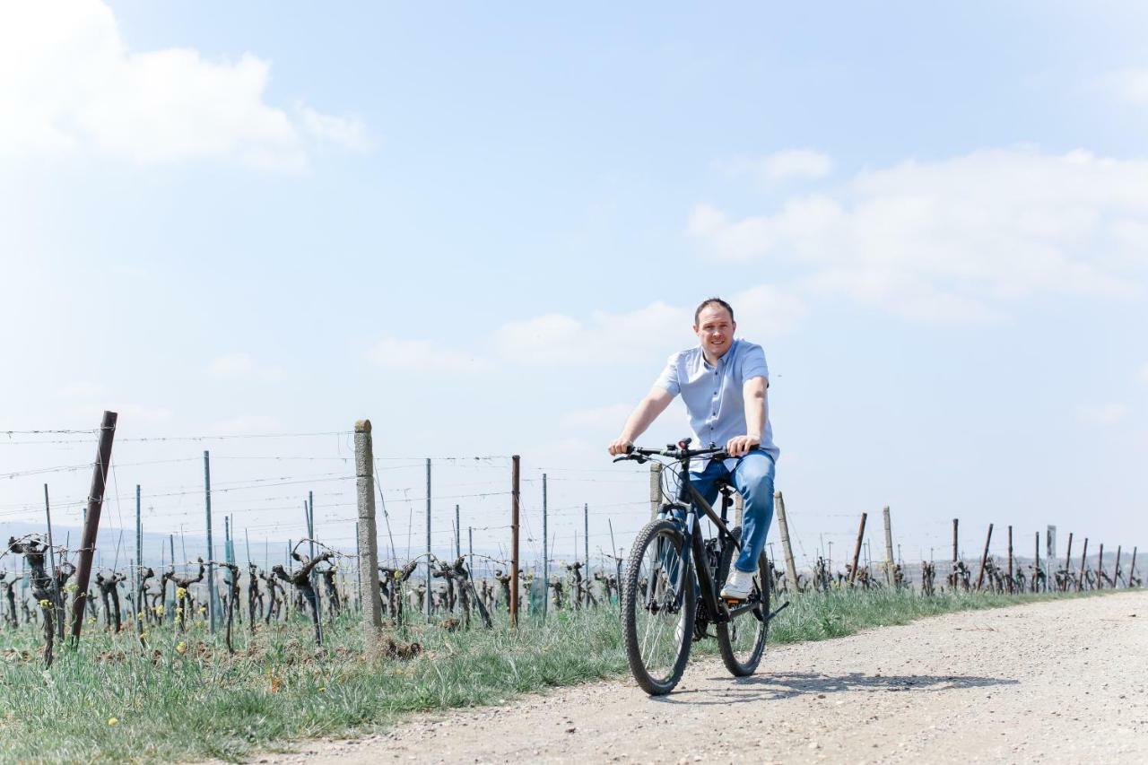 Vino Verde Poysdorf Kültér fotó